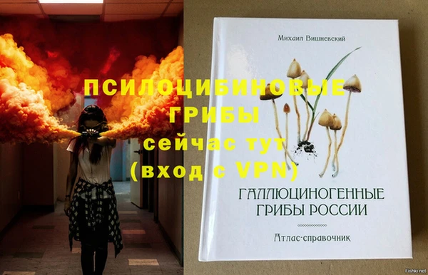 гашик Абинск