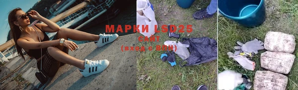 мяу мяу мука Пролетарск
